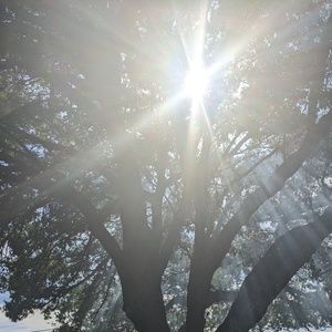 Meet your Posher, Gracie